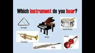 Which Instrument do you Hear?