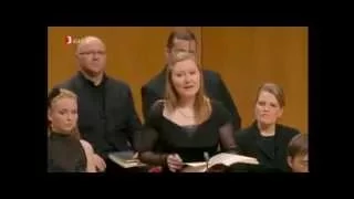 J. S. Bach - Aus Liebe will mein Heiland sterben - Herreweghe -