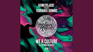 We R Culture (DJ Spinna Galactic Soul Remix) (feat. Terrance Downs)