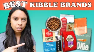 5 Best KIBBLE Brands?! Official Dog Food Review!