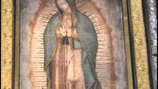 The Amazing and Miraculous Image of Our Lady of Guadalupe - Part 2