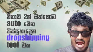 විනාඩි 2න් ඔක්කෝම auto වෙන Automated Dropshipping Tool එක