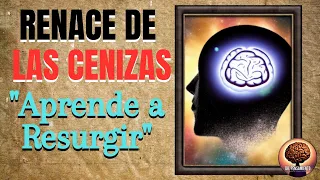 RENACE DE LAS CENIZAS! APRENDE A RESURGIR!