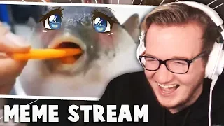 This Meme Needs To Be STOPPED (Meme Stream #29)
