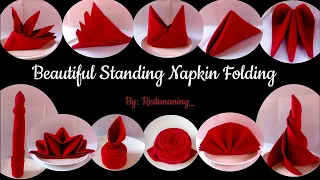 Beautiful Standing Napkin Folding