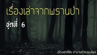 รวมเรื่องเล่าจากป่า ชุดที่ 6 (ฟังยาวๆกว่า6ชั่วโมง)