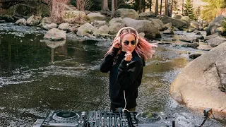 Pretty Pink - Live @ Harz Germany - Deep Woods #200 /Melodic Techno | Progressive House DJ Mix 4K