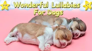 Super Cute Puppies Effective  Sleep Music For Dogs ♫ Calm Relax Your Pet ♥ Soft Lullaby For Animals