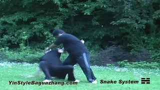 A Brief Introduction to Yin Style Bagua