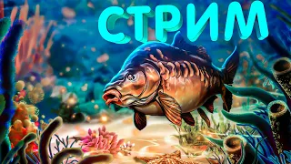 ЗА ТРОФЕЯМИ НА КУОРИ СТРИМ РОЗЫГРЫШИ РУССКАЯ РЫБАЛКА РР4