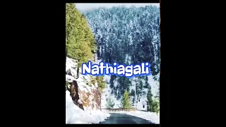 NathiaGali Pakistan | Beautiful Nathiagali Murree | Nathiagali Snowfall | Nathiagali vlog | نتھیاگلی