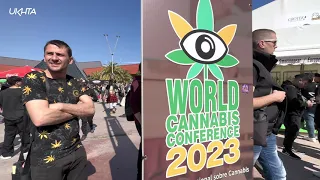 Spannabis 2023 Барселона |  Обзор самой большой Cannabis выставки в Европе | Канна Фестиваль 2023