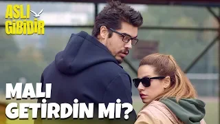 Malı Getirdin Mi? - Aslı Gibidir