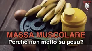 Massa muscolare: perchè non cresco