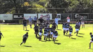 Stellenberg 19B vs DF Malan Hoogtepunte 2016