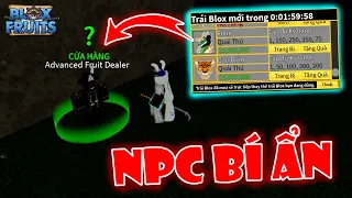 Cách Tìm "NPC Bí Ẩn" Siêu Khó Thấy, NPC Bán Full Trái Ác Qủy Bằng Belly Luôn Kìa | Blox Fruit