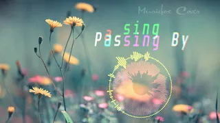 [Music box Cover] Yiruma - Passing By