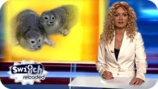 RTL Punkt 12 - Süße Robbenbabys im Soester Zoo | Switch Reloaded Classics #reupload