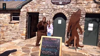 Rare Bigfoot Sighting: Cheaha Interpretive Center: 100 People Finally See it in Broad Daylight