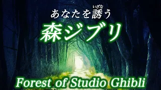 Forest of Studio Ghibli - Ko Miura