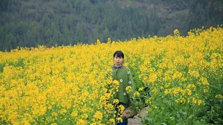 Dig a full basket of wild vegetables, cooking a table of delicious food挖一籃子野菜，做一桌野菜宴丨Lizhangliu