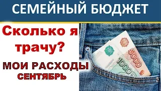 Сколько я трачу? Зачем и как вести семейный бюджет? Инвестиции для начинающих. Инвестирование.