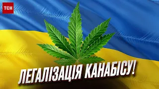 🌿 Українці закликають легалізувати канабіс! Верховна Рада розглядає законопроєкт