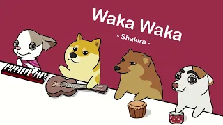 Shakira - Waka Waka (This Time for Africa) (cover by Bongo Dog) 🐶