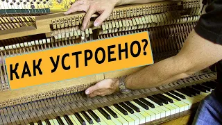 🎹 "Фортепиано ДЛЯ ВСЕХ". Урок 1. Как устроено акустическое пианино?