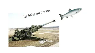 Le fishe au cannon