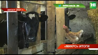 В Казани подвели предварительные итоги сельскохозяйственной микропереписи | ТНВ