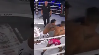 Explosive Knockout! Witness Luis Palomino's Devastating Victory Over Jim Alers at BKFC 14