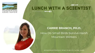 Lunch With A Scientist: How Do Small Birds Survive Harsh Winters with Carrie Branch, Ph.D.