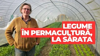 Agnes Jansen - olandeza care produce legume bio în sistem de permacultură