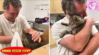 Heartwarming Story: 19 Year Old Cat Embraces Owner After 7 Years Apart