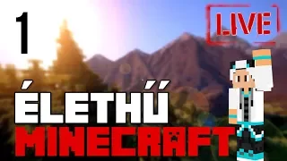 NA LÁSSUK! 🐼 ÉLETHŰ MODOLT Minecraft 1. rész