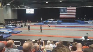 double mini level 8 at nationals