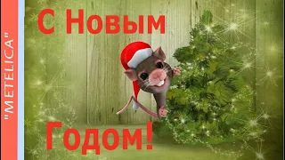 Поздравление с Новым годом!Новое,красивое видео поздравление!