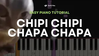 Chipi Chipi Chapa Chapa Meme (Christell) | EASY Piano Tutorial by ST