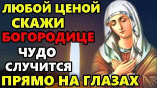 ЛЮБОЙ ЦЕНОЙ СКАЖИ ЭТУ МОЛИТВУ БОГОРОДИЦЕ И СЛУЧИТСЯ ЧУДО! Молитва Богородице! Православие