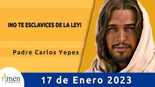 Evangelio De Hoy Martes 17 Enero de 2023 l Padre Carlos Yepes l Biblia l   Marcos 2,23-28 l Católica