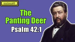 Psalm 42:1 - The Panting Deer || Charles Spurgeon