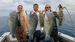 Spearfishing Australia's TASTIEST REEF FISH