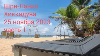 Хиккадува, Шри-Ланка. 25 ноября 2023(часть 1)