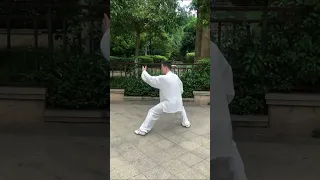 国家新编28式太极拳 #太极 #太极拳 #太极剑