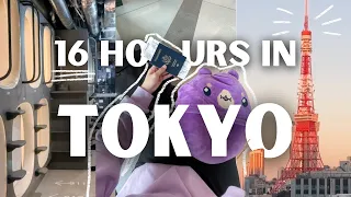 what to do in tokyo for a day 🇯🇵 layover edition