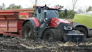 Case IH 300 Optum Working Hard in The Mud During Maize / Corn Chopping | Häckseln 2017