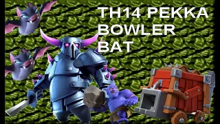 TH14 Pekka Bowler Bat on TH14 by Faizan 6