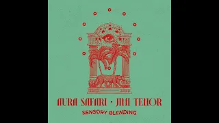 Aura Safari & Jimi Tenor "Bewitched by the sea"