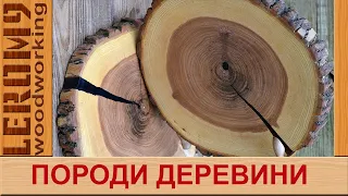 Породи деревини. Коротка характеристика